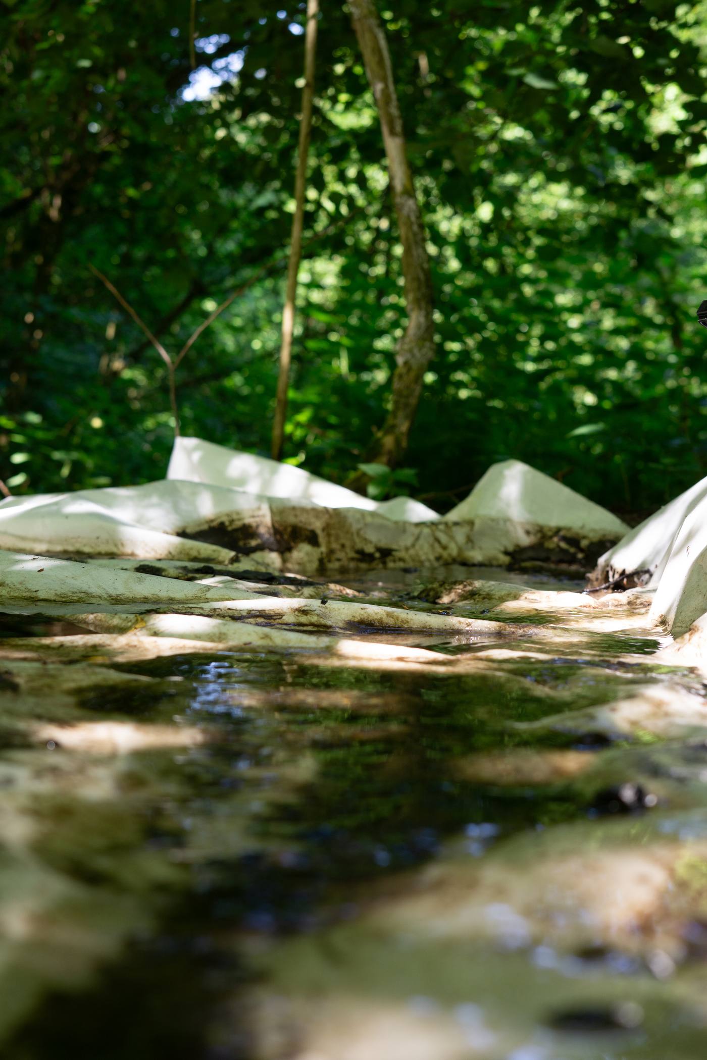Mémorielle fragrance insulaire, papier posé dans le lit d'un ruisseau en forêt
