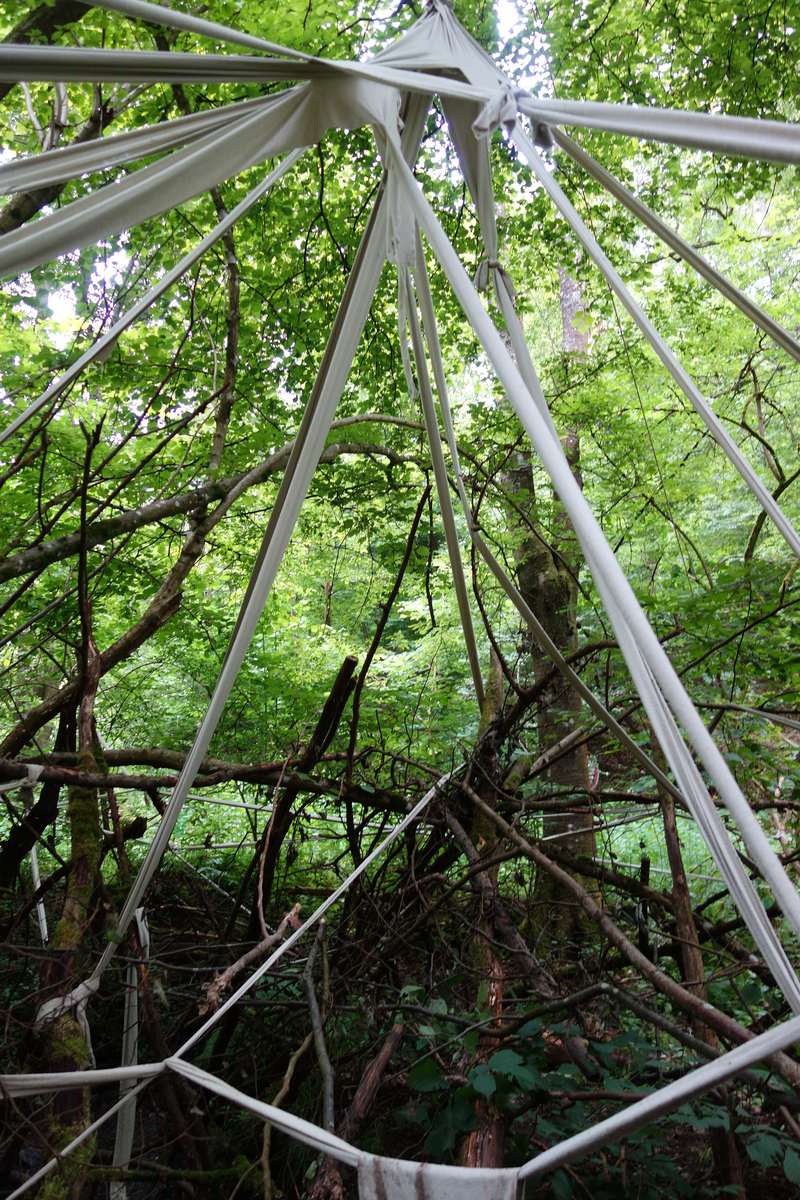 Colab Inga, Forestival, Lahnstein (Allemagne), 2024, vue 1