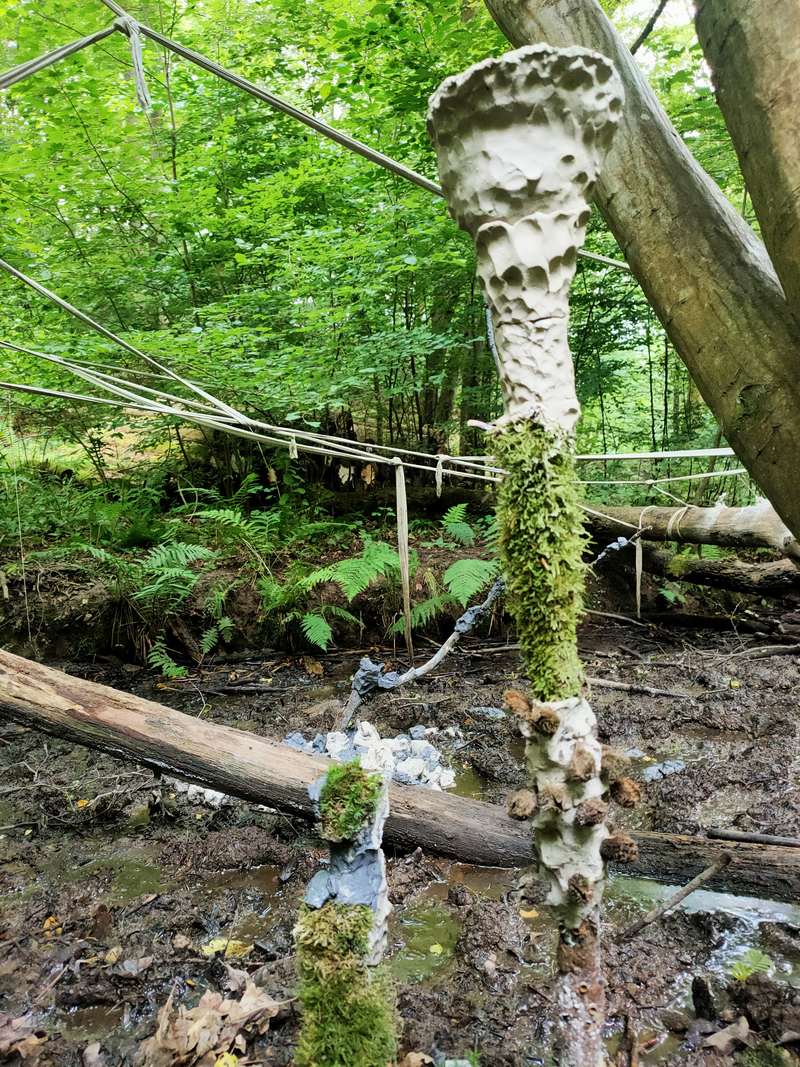Colab Inga, Forestival, Lahnstein (Allemagne), 2024, vue 11