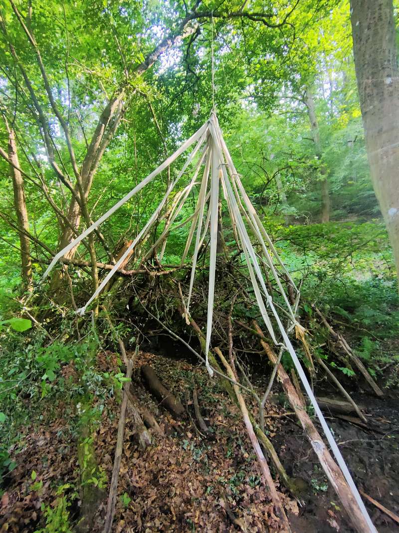 Colab Inga, Forestival, Lahnstein (Allemagne), 2024, vue 5