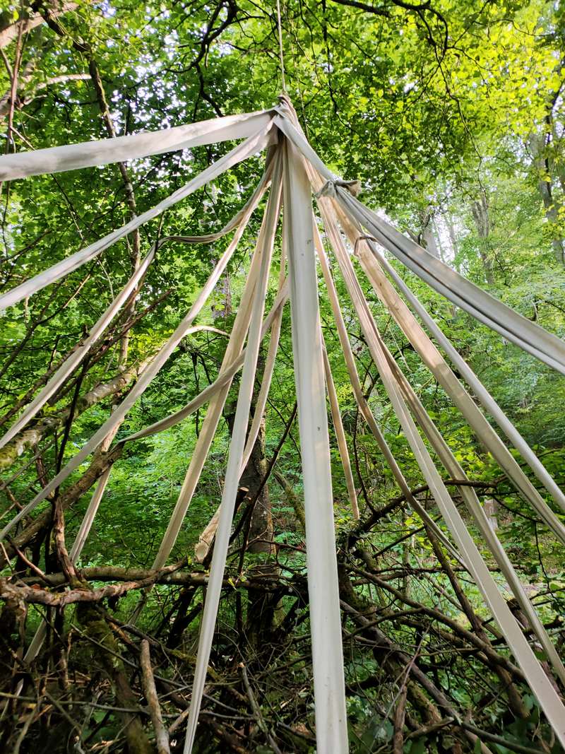 Colab Inga, Forestival, Lahnstein (Allemagne), 2024, vue 6