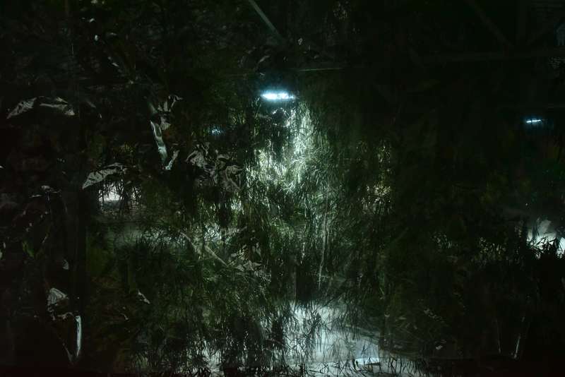 Depuis qu'elle est partie, Nongyuan Art Village, Chengdu, 2024, vue 3