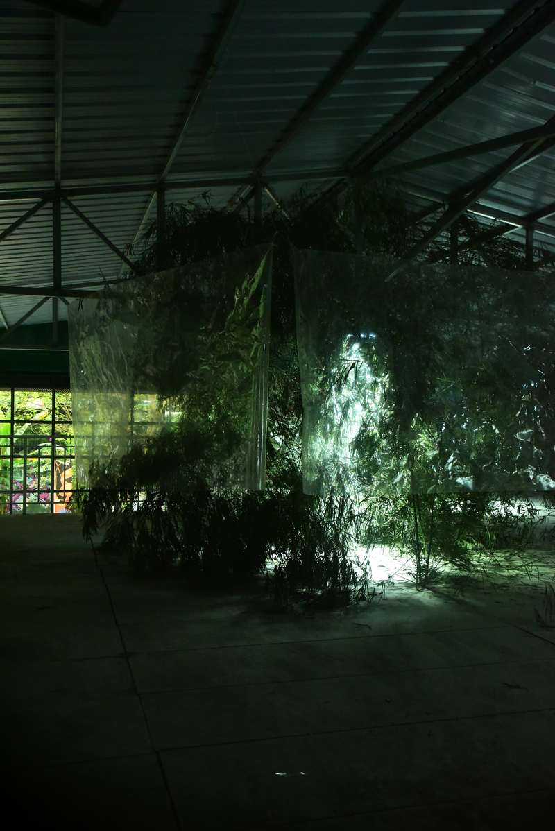 Depuis qu'elle est partie, Nongyuan Art Village, Chengdu, 2024, vue 9