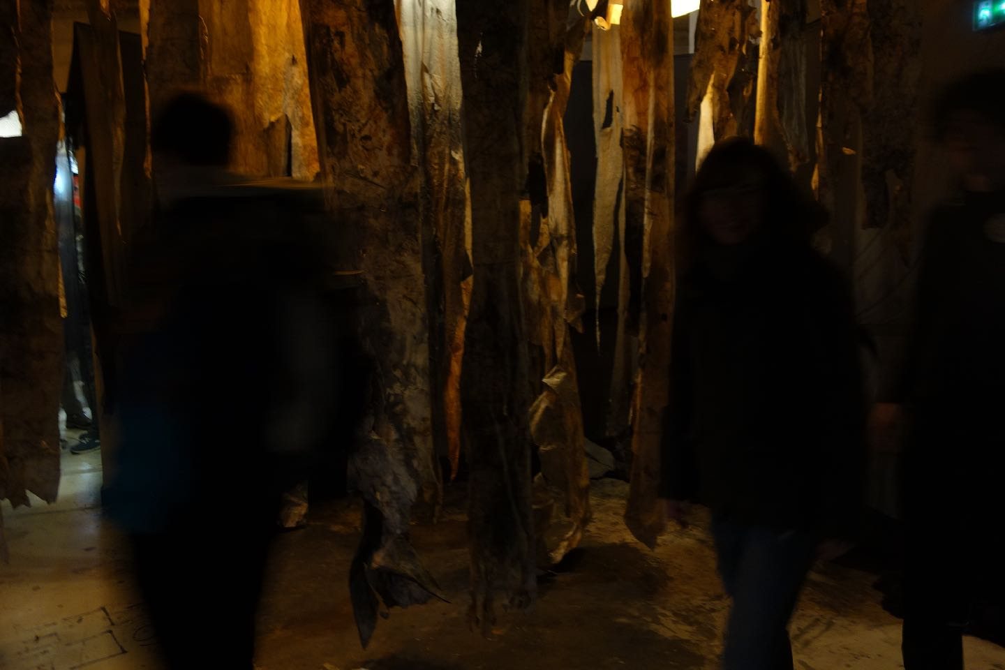 L'écho d'une forêt millénaire