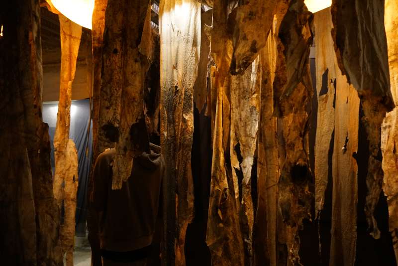 L'écho d'une forêt millénaire, Atelier ouvert, 59 Rivoli, Paris, 2023, vue 10