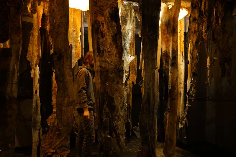 L'écho d'une forêt millénaire, Atelier ouvert, 59 Rivoli, Paris, 2023, vue 11