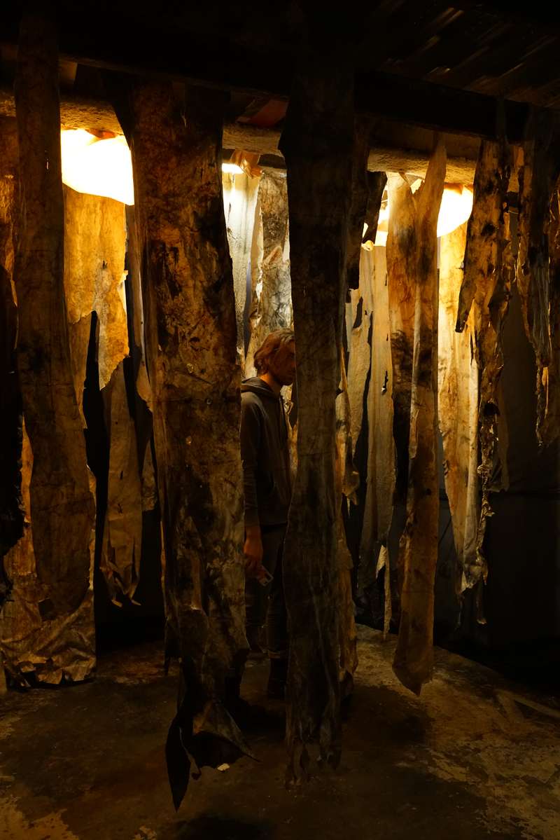 L'écho d'une forêt millénaire, Atelier ouvert, 59 Rivoli, Paris, 2023, vue 12
