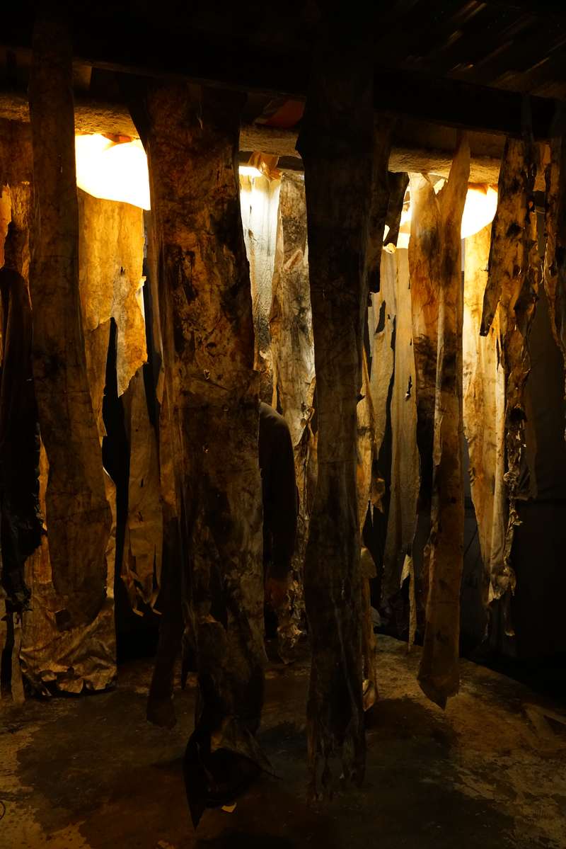 L'écho d'une forêt millénaire, Atelier ouvert, 59 Rivoli, Paris, 2023, vue 13