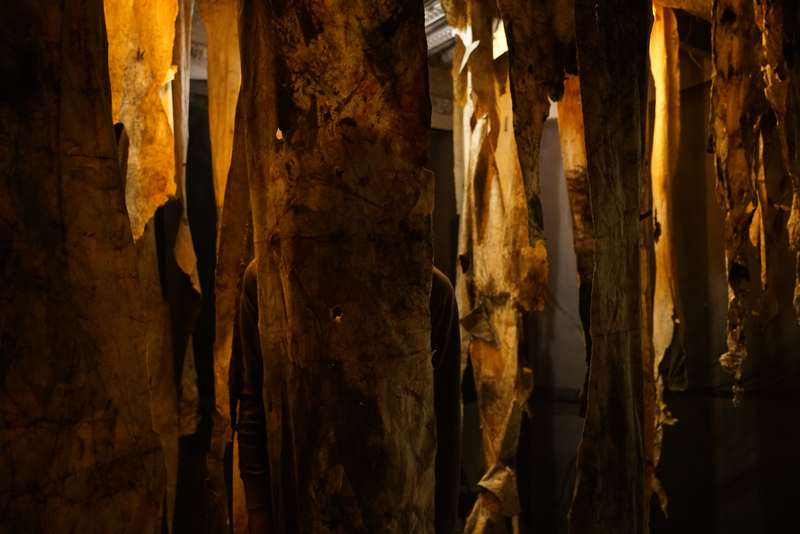 L'écho d'une forêt millénaire, Atelier ouvert, 59 Rivoli, Paris, 2023, vue 14