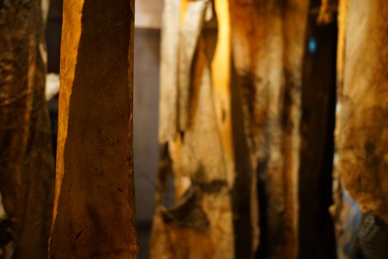 L'écho d'une forêt millénaire, Atelier ouvert, 59 Rivoli, Paris, 2023, vue 16
