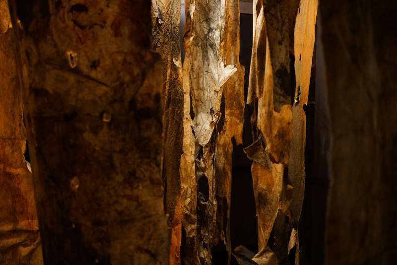 L'écho d'une forêt millénaire, Atelier ouvert, 59 Rivoli, Paris, 2023, vue 17