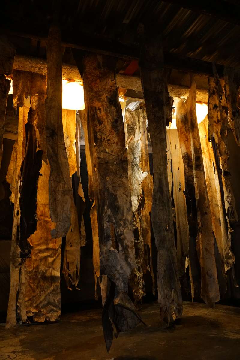 L'écho d'une forêt millénaire, Atelier ouvert, 59 Rivoli, Paris, 2023, vue 2
