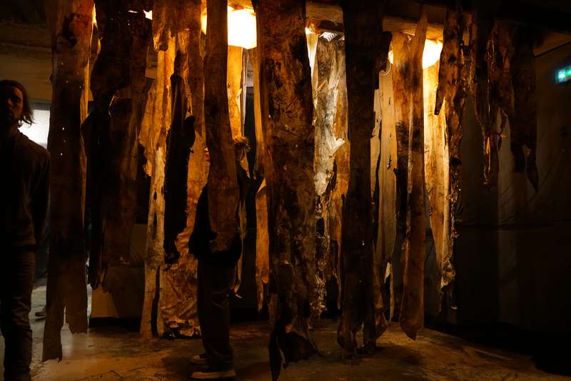 L'écho d'une forêt millénaire, Atelier ouvert, 59 Rivoli, Paris, 2023, vue 20