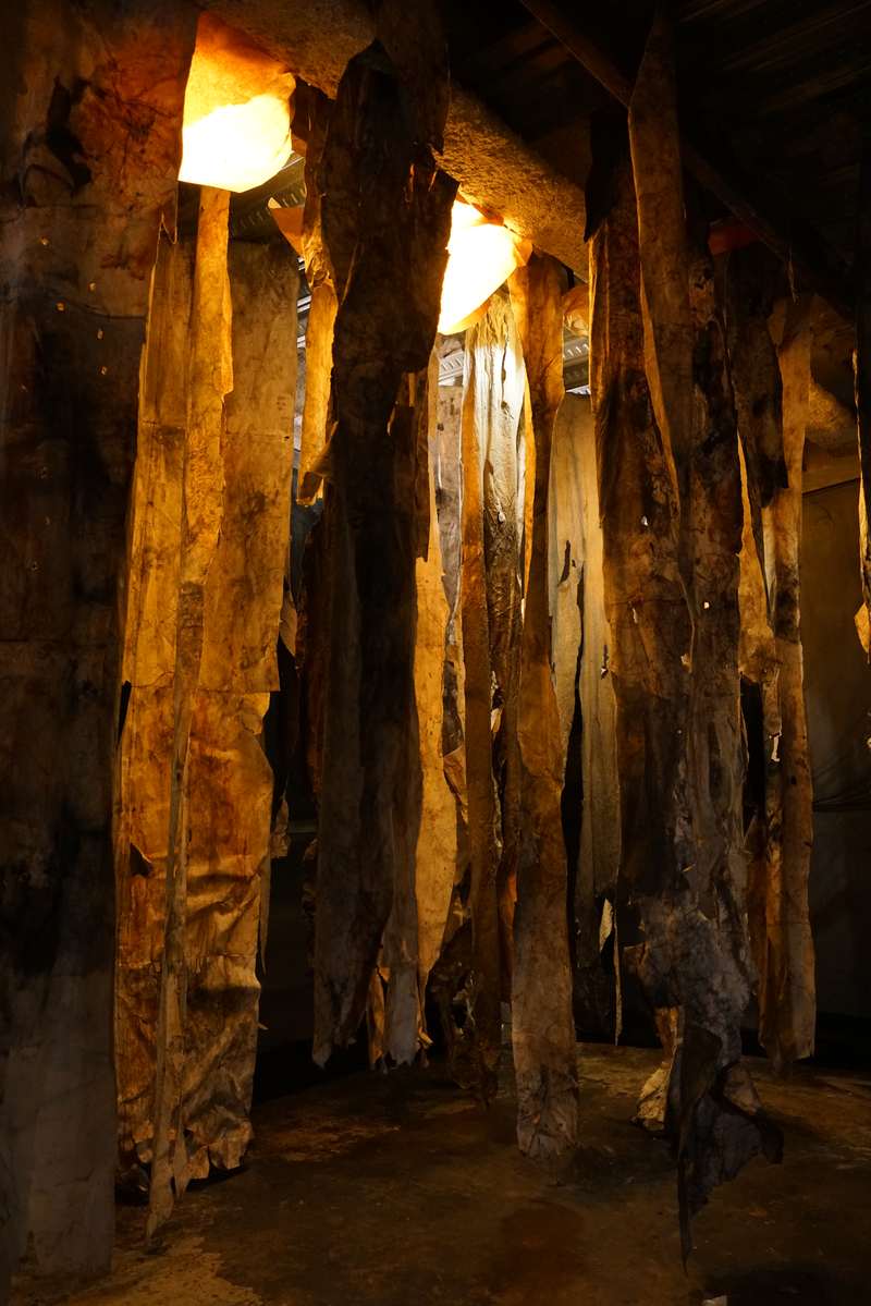 L'écho d'une forêt millénaire, Atelier ouvert, 59 Rivoli, Paris, 2023, vue 3