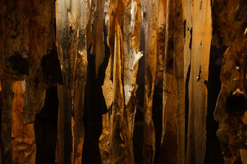 L'écho d'une forêt millénaire, Atelier ouvert, 59 Rivoli, Paris, 2023, vue 9