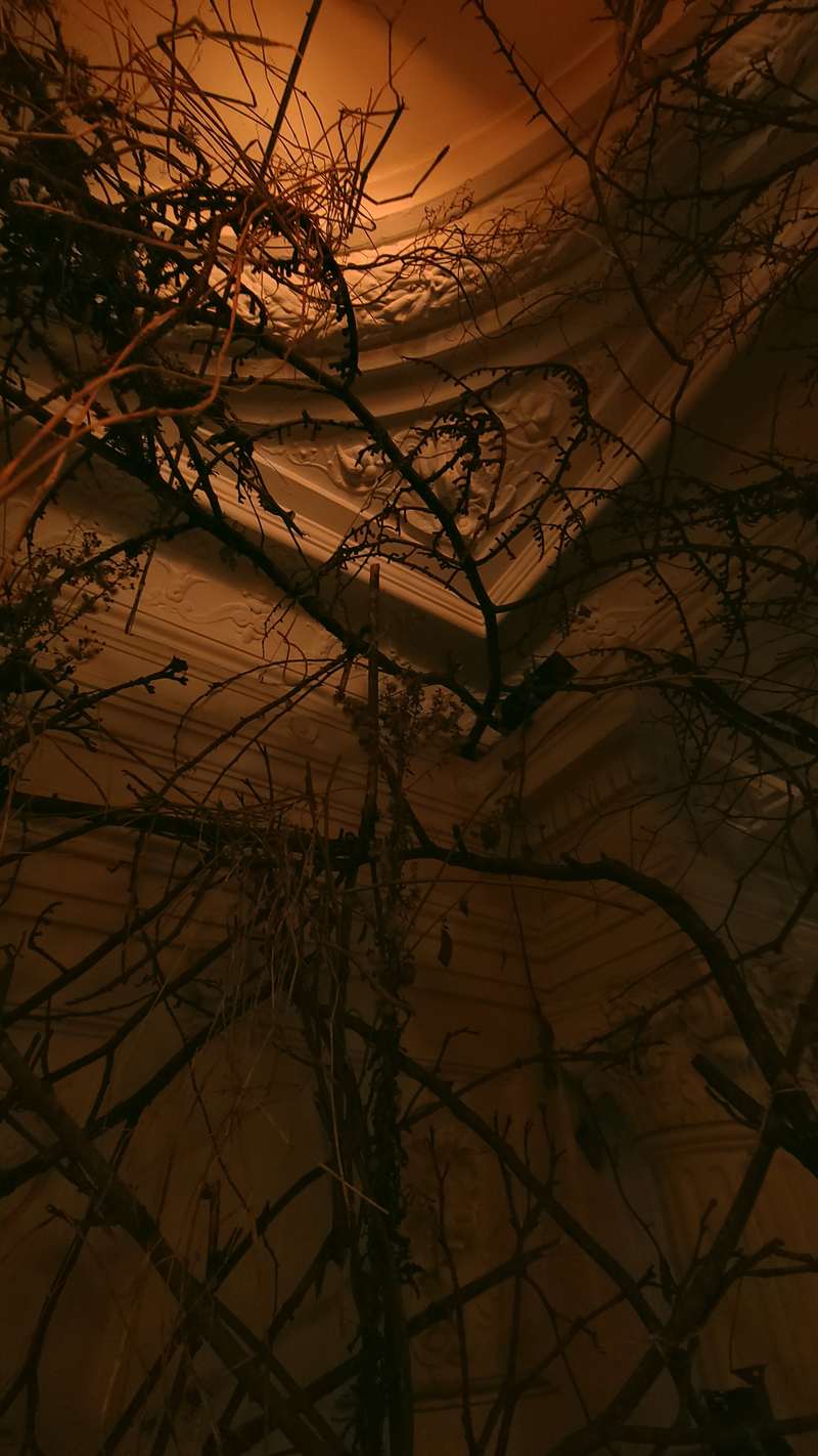 Entrée 59, 59 Rivoli, Paris, 2022, vue 11
