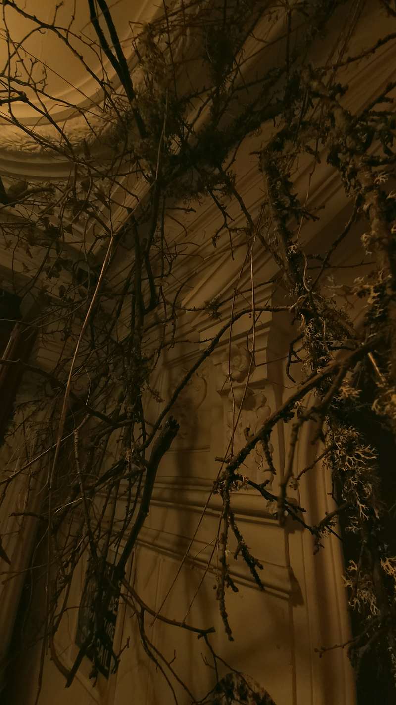 Entrée 59, 59 Rivoli, Paris, 2022, vue 12
