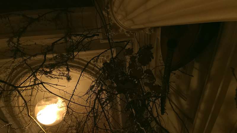 Entrée 59, 59 Rivoli, Paris, 2022, vue 15