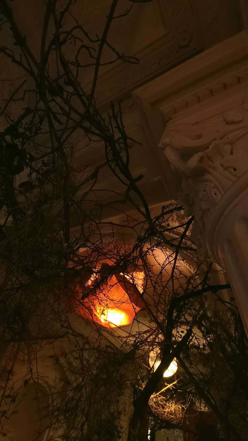Entrée 59, 59 Rivoli, Paris, 2022, vue 16