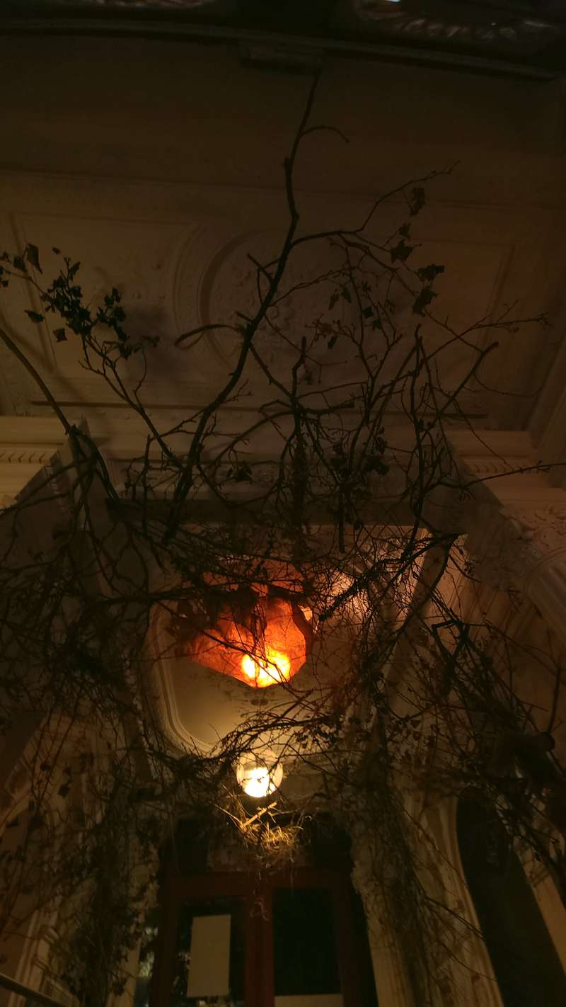 Entrée 59, 59 Rivoli, Paris, 2022, vue 18