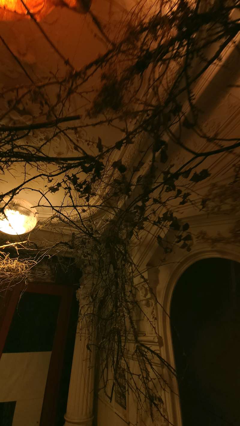 Entrée 59, 59 Rivoli, Paris, 2022, vue 20