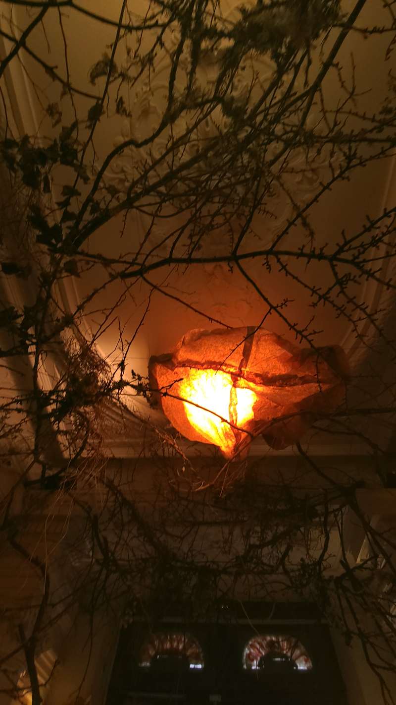 Entrée 59, 59 Rivoli, Paris, 2022, vue 9