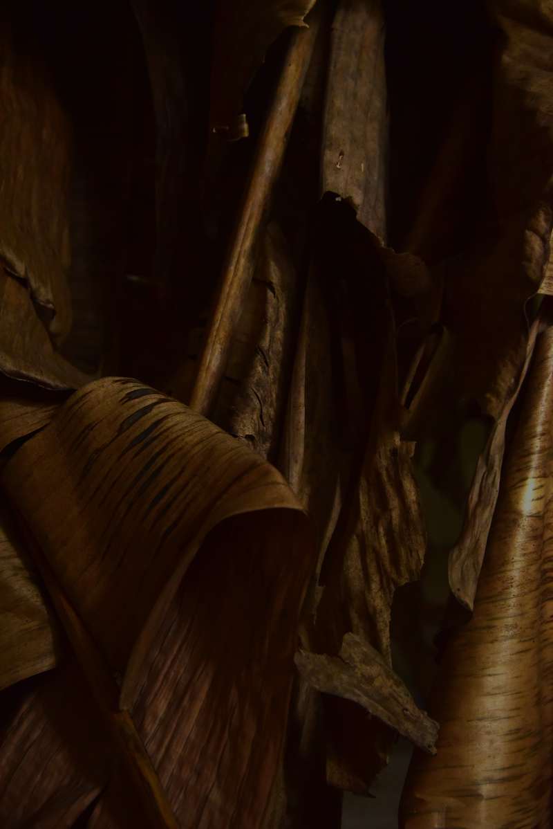 Érodée, faible écriture, Nongyuan Art Village, Chengdu, 2024, vue 4