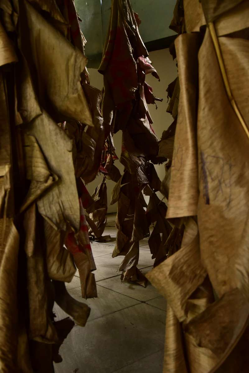Érodée, faible écriture, Nongyuan Art Village, Chengdu, 2024, vue 5