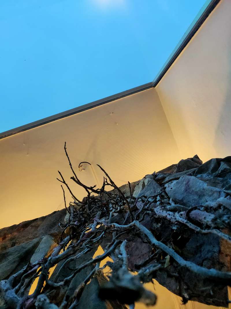 Œuvre en vitrine, Ich liebe den Klang der Wellen, MerKunst Gallery (Allemagne), 2024, vue 2