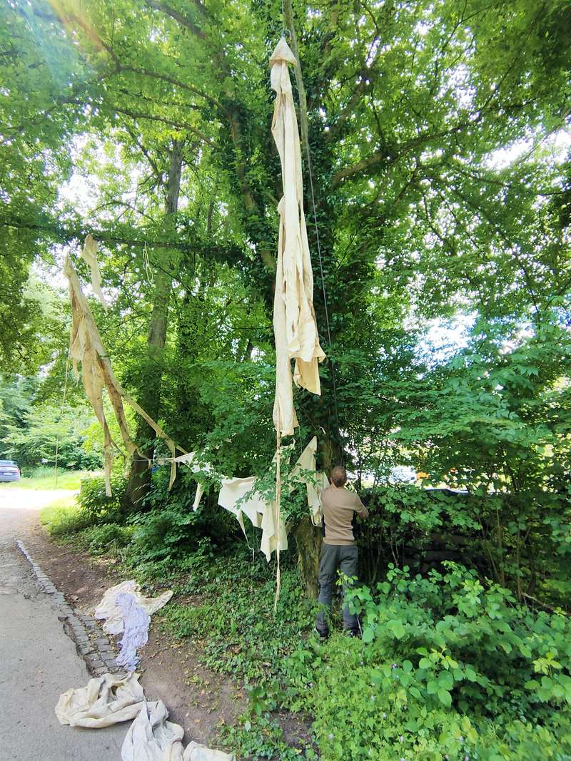 Ici commence le sol de pierre, Forestival, Lahnstein (Allemagne), 2024, vue 10