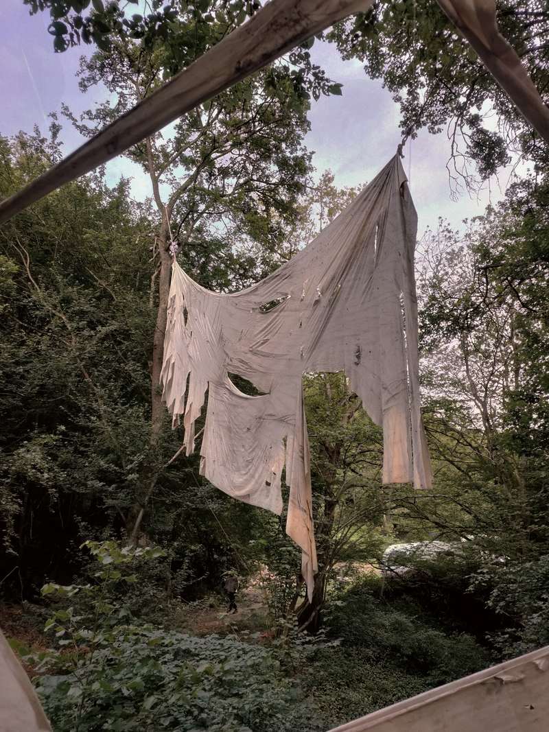 Ici commence le sol de pierre, Forestival, Lahnstein (Allemagne), 2024, vue 11