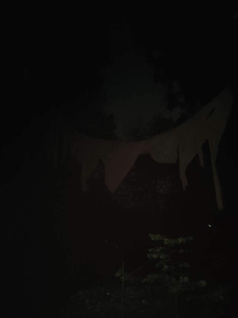 Ici commence le sol de pierre, Forestival, Lahnstein (Allemagne), 2024, vue 17