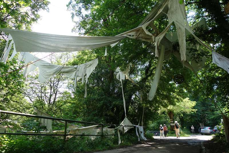 Ici commence le sol de pierre, Forestival, Lahnstein (Allemagne), 2024, vue 2