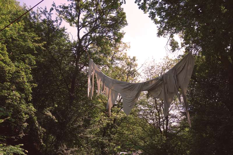 Ici commence le sol de pierre, Forestival, Lahnstein (Allemagne), 2024, vue 5