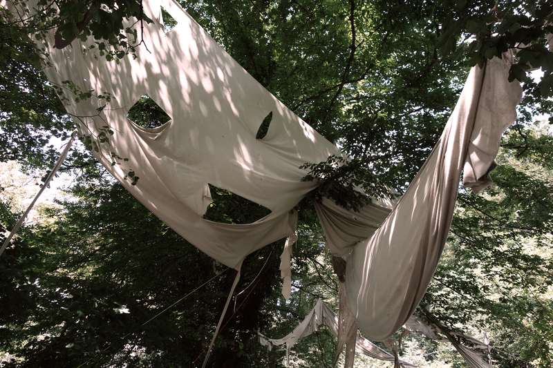 Ici commence le sol de pierre, Forestival, Lahnstein (Allemagne), 2024, vue 6