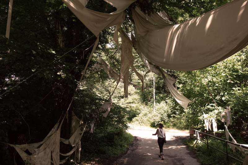 Ici commence le sol de pierre, Forestival, Lahnstein (Allemagne), 2024, vue 7