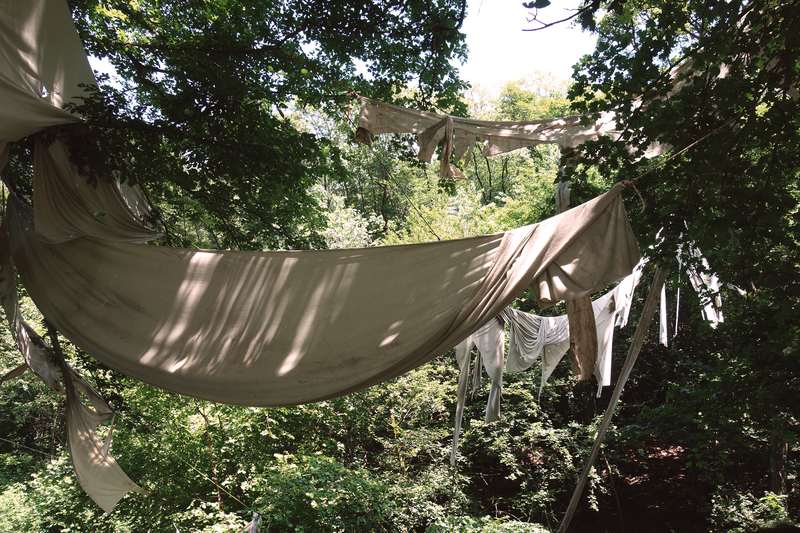 Ici commence le sol de pierre, Forestival, Lahnstein (Allemagne), 2024, vue 8