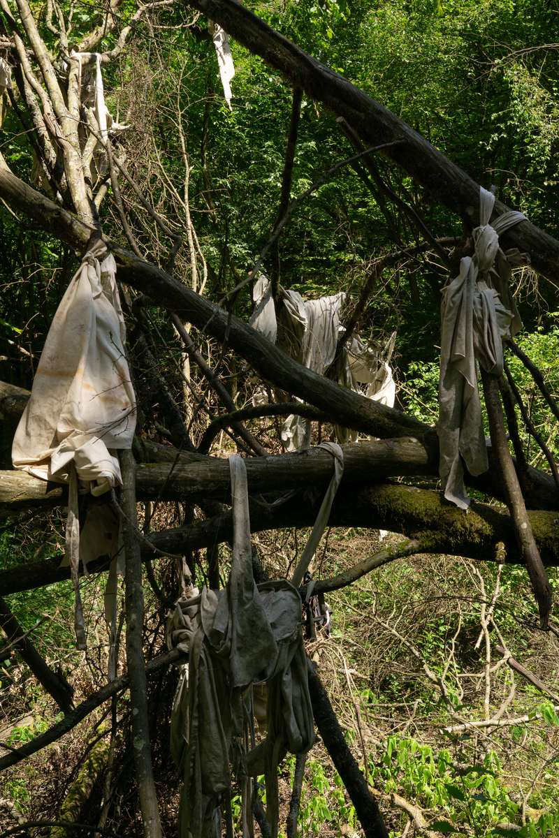 Le mien compris, Forestival, Lahnstein (Allemagne), 2026, vue 10