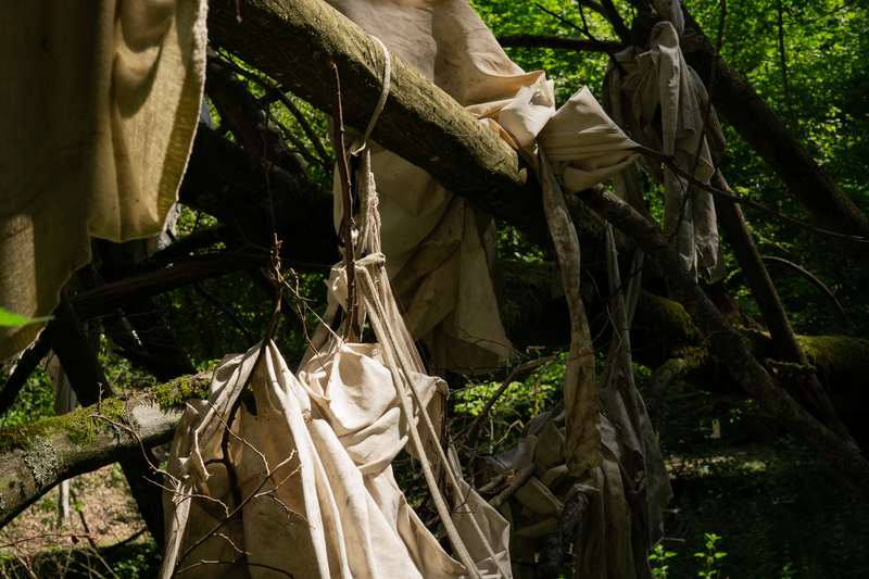 Le mien compris, Forestival, Lahnstein (Allemagne), 2026, vue 14