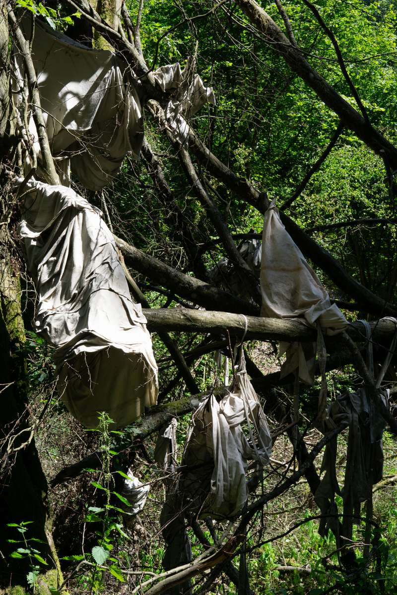 Le mien compris, Forestival, Lahnstein (Allemagne), 2026, vue 2