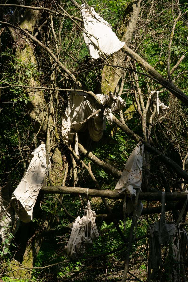 Le mien compris, Forestival, Lahnstein (Allemagne), 2026, vue 3
