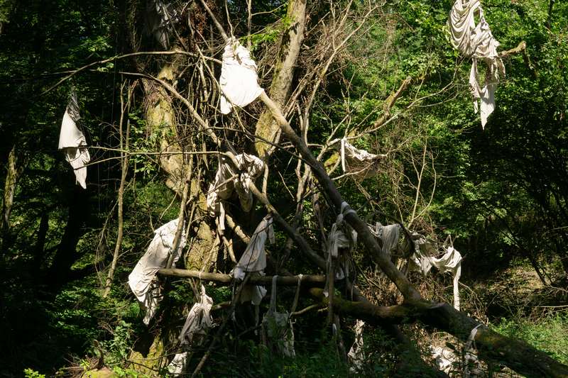 Le mien compris, Forestival, Lahnstein (Allemagne), 2026, vue 4