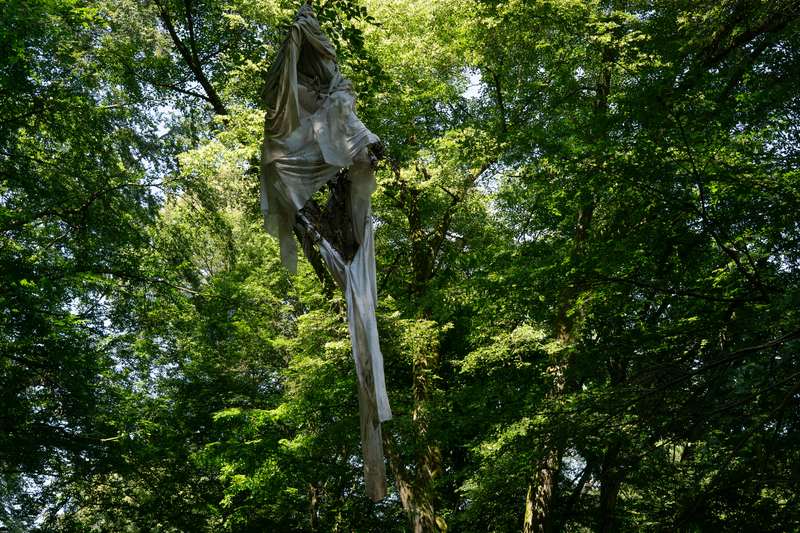 Le mien compris, Forestival, Lahnstein (Allemagne), 2026, vue 9