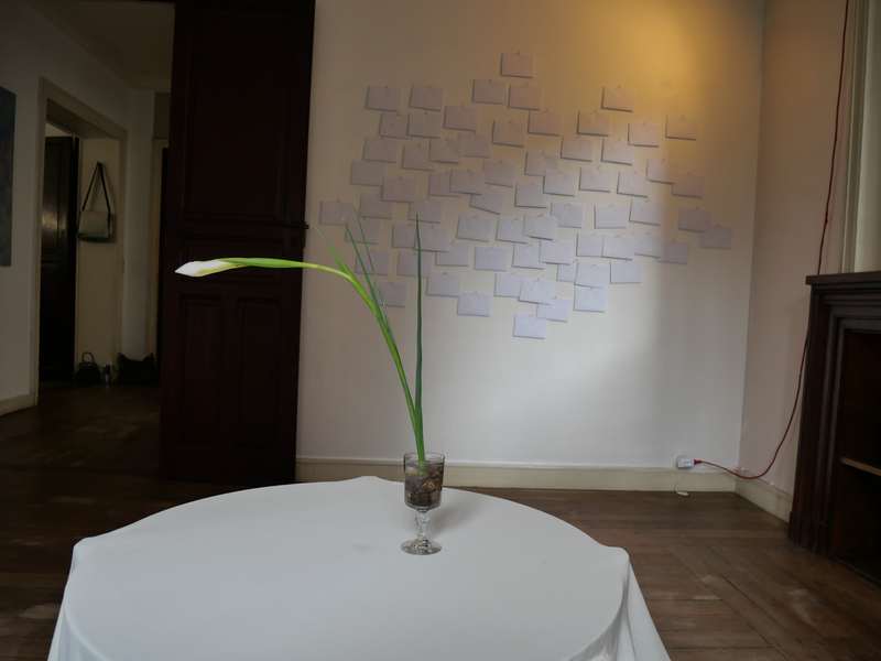 Les mots perdus se rendorment, Hide & Seek, Maison Bruneau, Paris, 2024, vue 11