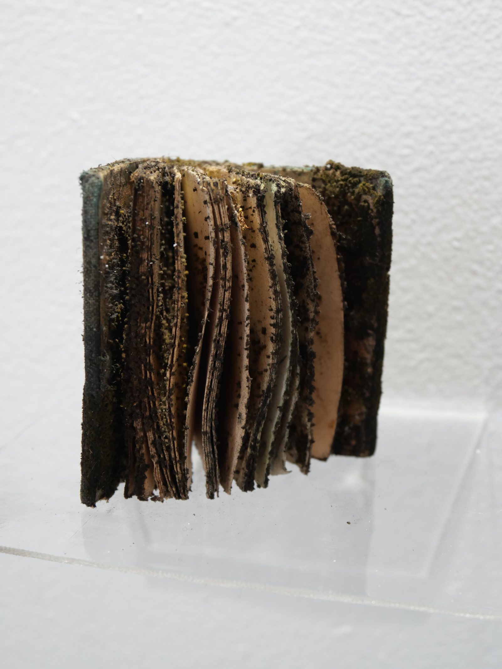 Livres & Objets