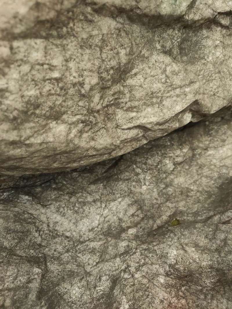 Creuse le trou, enferme les racines coupées, Ich liebe den Klang der Wellen, MerKunst Gallery (Allemagne), 2024, vue 7