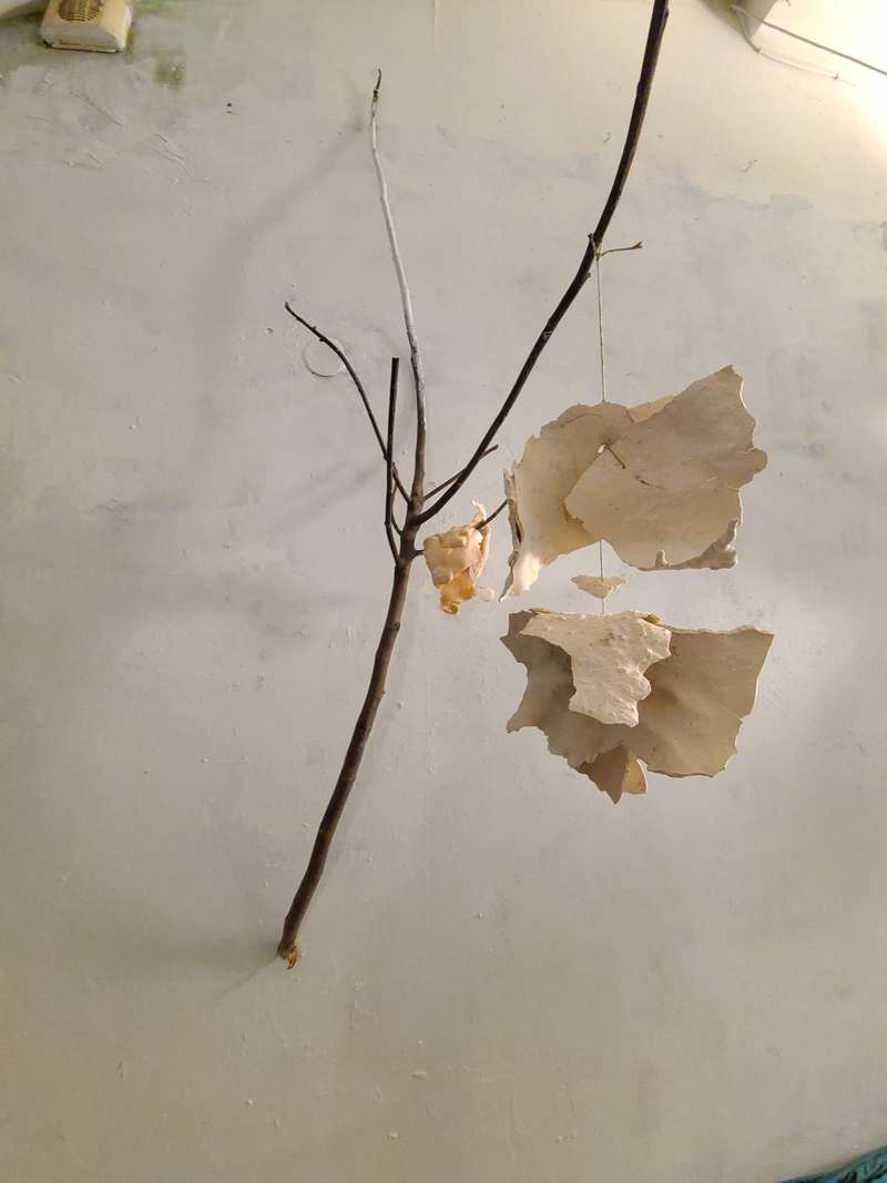 Œuvre tête branche, photo 1