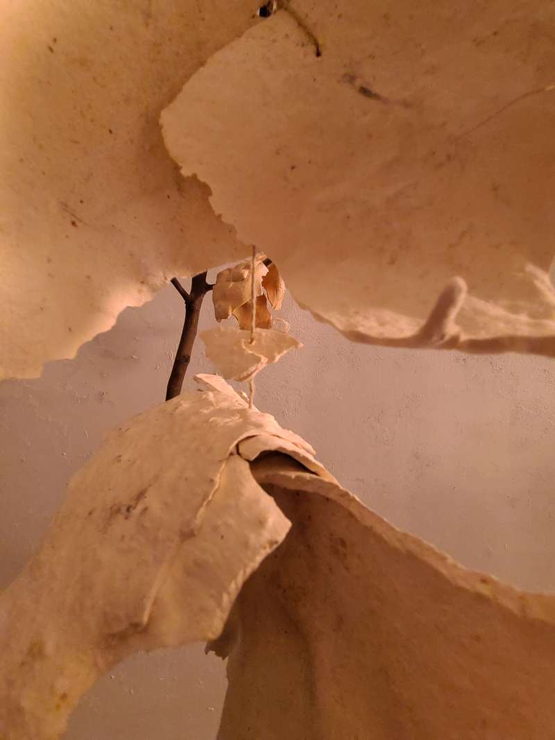 Œuvre tête branche, photo 2