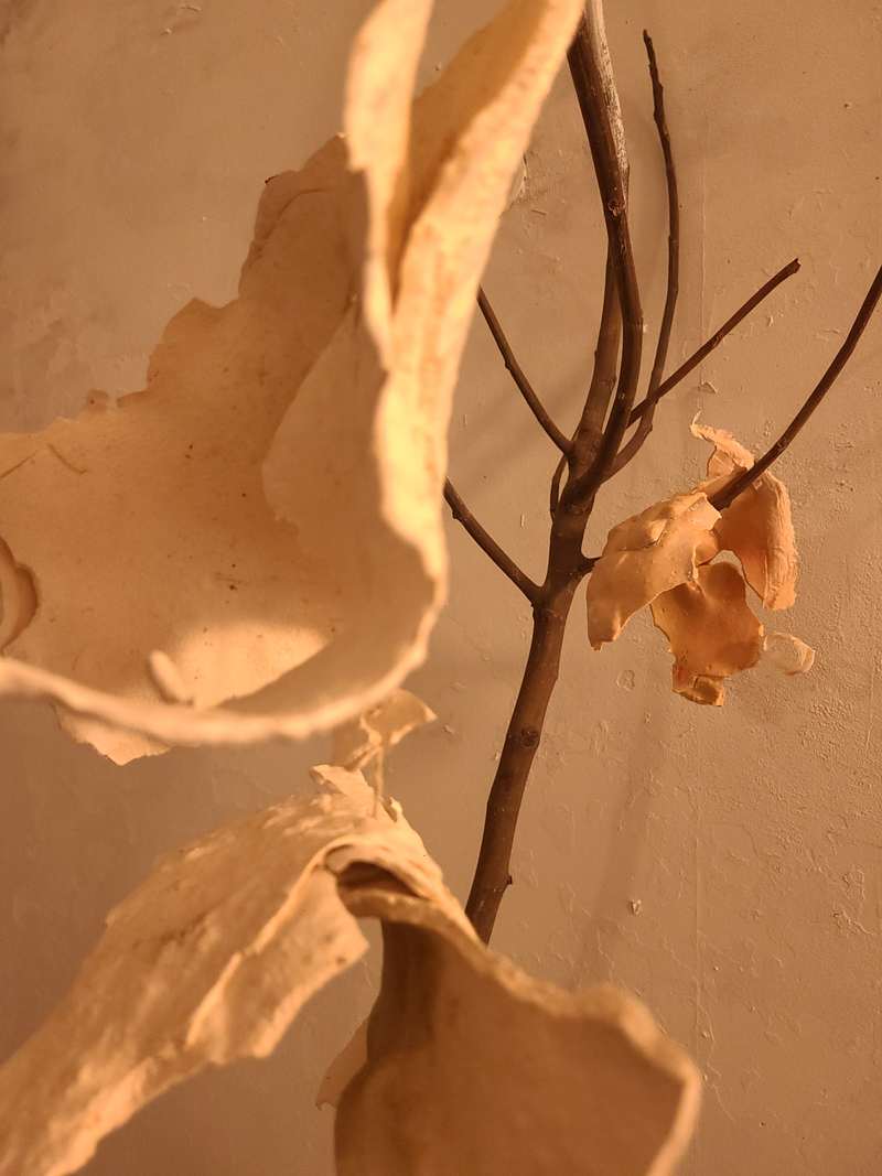 Œuvre tête branche, photo 3