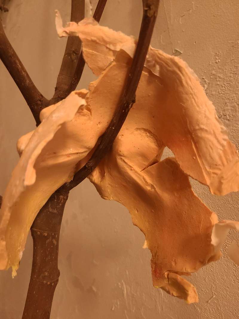 Œuvre tête branche, photo 4